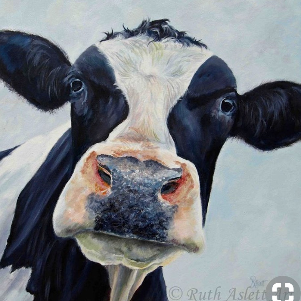 Meet your Posher, Elyse